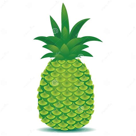 Fresh Whole Pineapple Stock Vector Illustration Of Nature 84014411