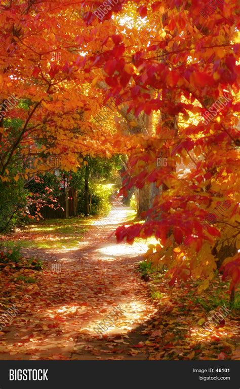 Autumn Walk Image & Photo (Free Trial) | Bigstock