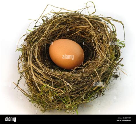 big egg  res stock photography  images alamy