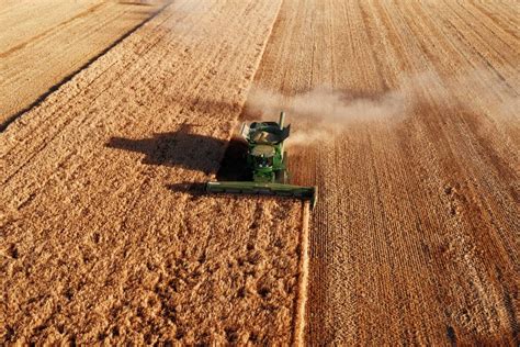 Deere & Company Stock Outlook: Price and Dividends - DE Stock