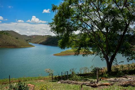 Ufjf Abre Vagas Gratuitas Em Especializa Es A Dist Ncia Not Cias