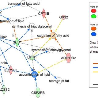 Metabolic Process Regulatory Gene Network Showing Differentially