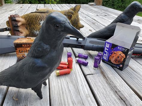 Case: Crows are smart varmints who make good target practice | Chattanooga Times Free Press