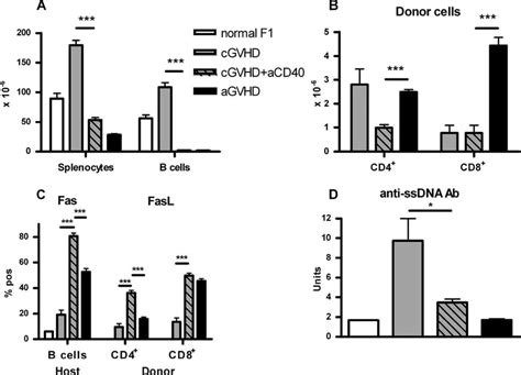 Early Delivery Of A Cd40 Signal Converts Gvhd Phenotype From Chronic To