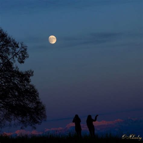 Waxing gibbous moon this week | Sky Archive | EarthSky