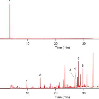 Total Ion Chromatograms Tics Obtained From Pyr Gc Ms Of Vea In A N