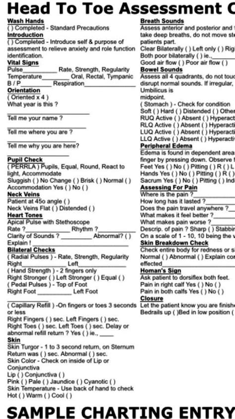 Head To Toe Nursing Assessment Template Sampletemplatess Sampletemplatess