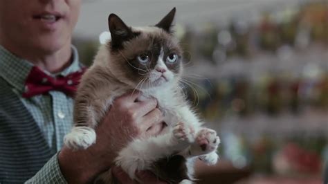 Grumpy Cat Worst Christmas Ever Lifetime Tars Tarkas Net