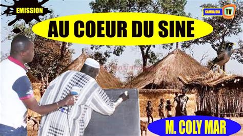 AU COEUR DU SINE N1 AVEC M COLY MAR INTRODUCTION GÉNÉRALE SUR L