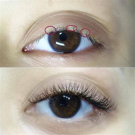 Eyelash Extensions Before And After, Customer Feedback, Eyelashes, Face ...