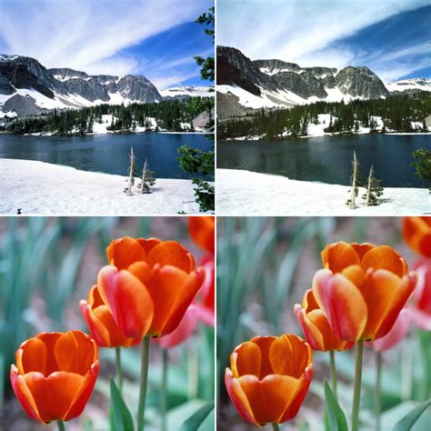 Ektar 100 Vs Portra 160
