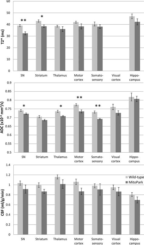 T2 Apparent Diffusion Coefficient ADC And Cerebral Blood Flow