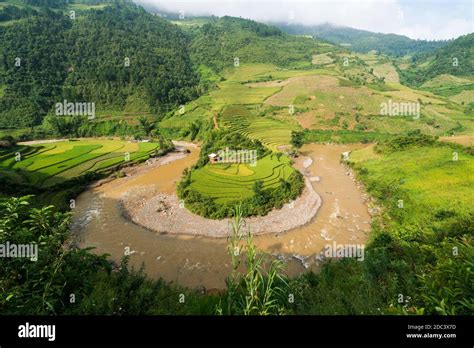 Terraced Rice Field Landscape Near Sapa In Vietnam Mu Cang Chai Rice