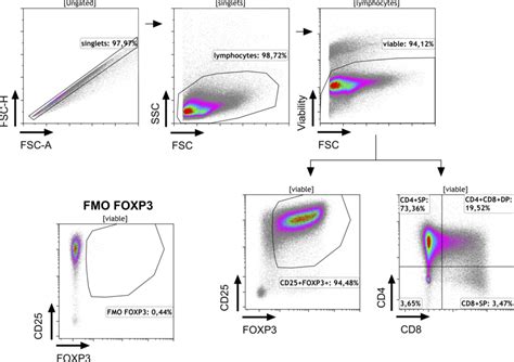 Gating Strategy Of Thytreg Cells Flow Cytometry Gating Strategy And