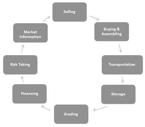 Role Et Importance Du Marketing