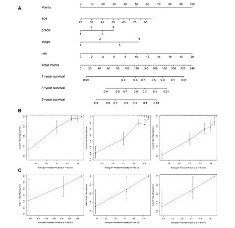 Construction And Validation Of Nomogram A Nomogram To Predict The Download Scientific