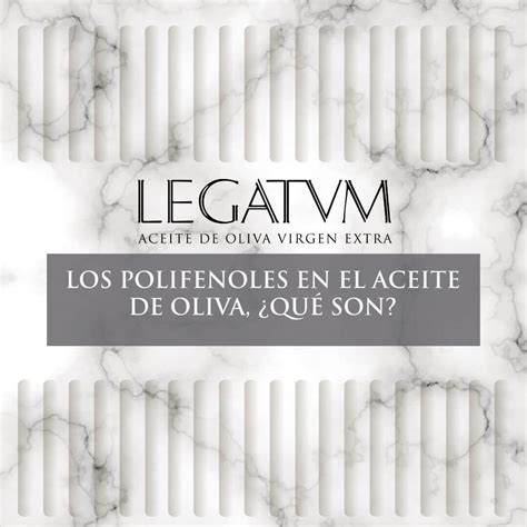 Los Polifenoles En El Aceite De Oliva Aceites Legatum