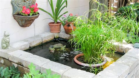 8 Charming Small Pond Ideas for Patios & Gardens