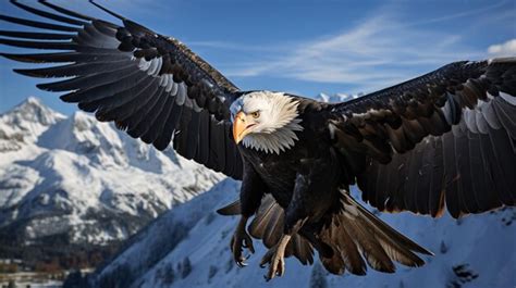 Premium AI Image | Zooming in on a magnificent Colombian Andean Condor ...