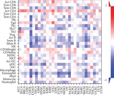 Relationship Between Cks1b And Tumor Immune Infiltration A And B