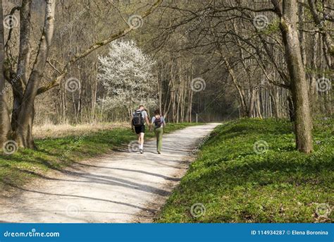 Two People Walk Along The Path In The Park In The Spring Editorial