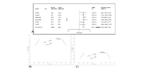 A Forest Plots For The Association Between MTHFR C677T Polymorphism