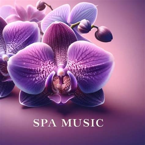 Play SPA MUSIC: Relaxing Binaural Frequencies for a Full Body Massage ...