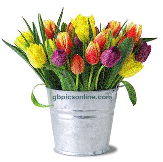 Blumen Bild #22759 - GB Pics, GB Bilder, Gästebuchbilder, Facebook ...