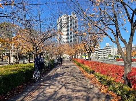 川口元郷駅（川口市）の住みやすさ 特徴・周辺情報・便利なチェーン店 ｜townu（タウニュー）