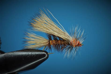 Stimulator Fly Pattern Step By Step The Fat Fingered Fly Tyer