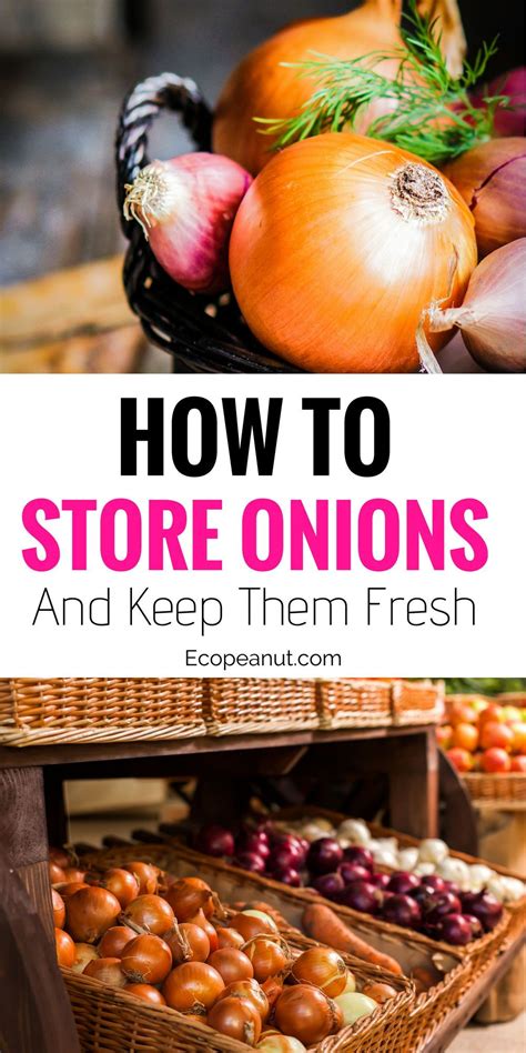 How To Store Onions And Keep Them Fresh Eco Peanut How To Store