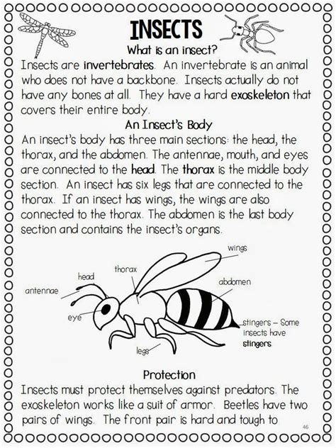 Insect Worksheets Second Grade