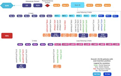 Poziotinib For Egfr And Her2 Exon 20 Insertion Mutation In Advanced