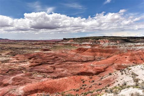 Petrified Forest National Park Self Guided Audio Tour Getyourguide