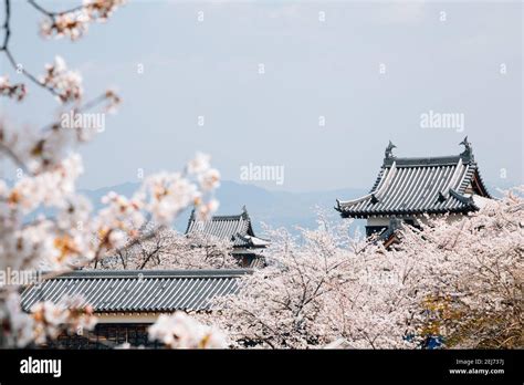 Koriyama Castle Park With Cherry Blossoms In Nara Japan Stock Photo