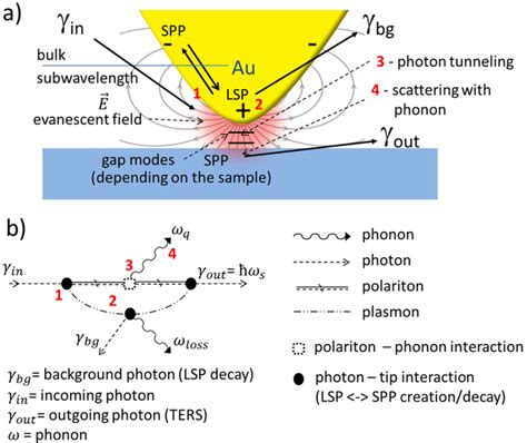 A Qualitative Sketch Of Electric Field Lines Of The Evanescent Field