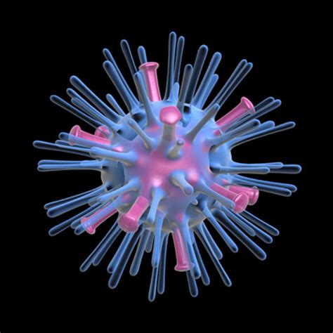 Avian Flu Virus 3d Model