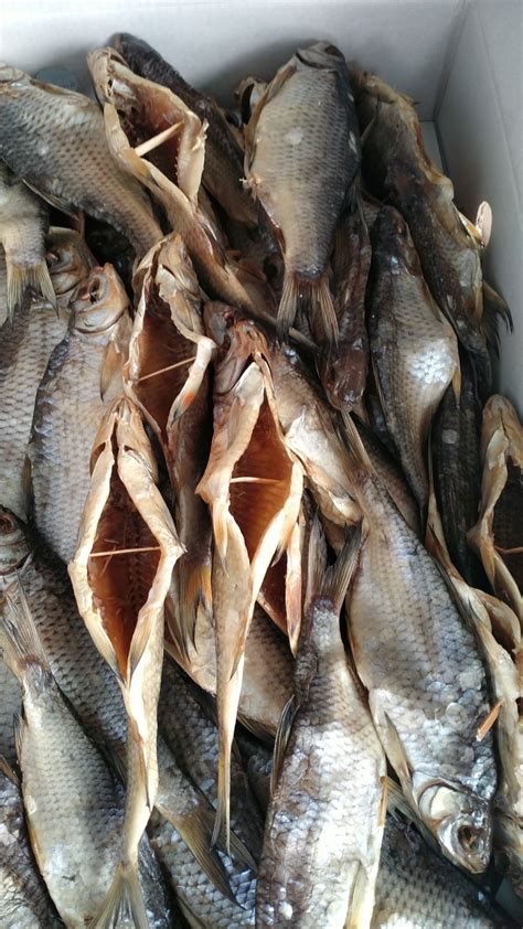 Мацик/тарань/ в'ялена риба/ сом, судак, бичок: 130 грн. - Продукти ...