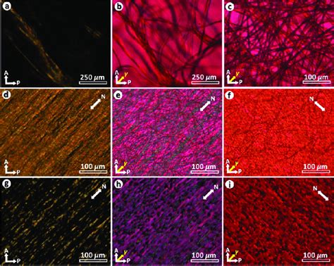 POM Images Of Nanofibrous Mats Of PVA CNC10R A PVA CNC10A D