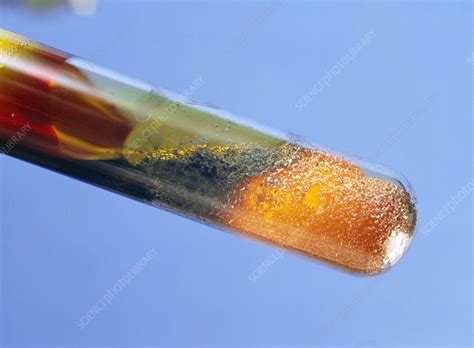 Iron Reacting With Sulphur Stock Image A Science Photo