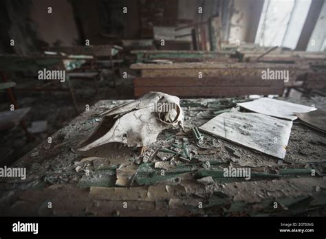 Des Lieux Abandonn S De Tchernobyl En Ukraine Apr S Ans Apr S La