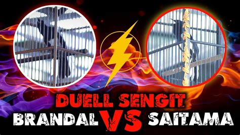 DUELL SENGIT KC BRANDAL VS KC SAITAMA By Zakicau Official YouTube