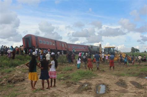 Trains Killing Wild Elephants Pod Volunteer