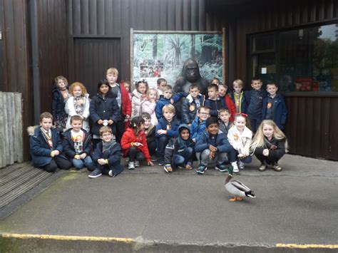 St Margaret Marys Catholic Infant School Home