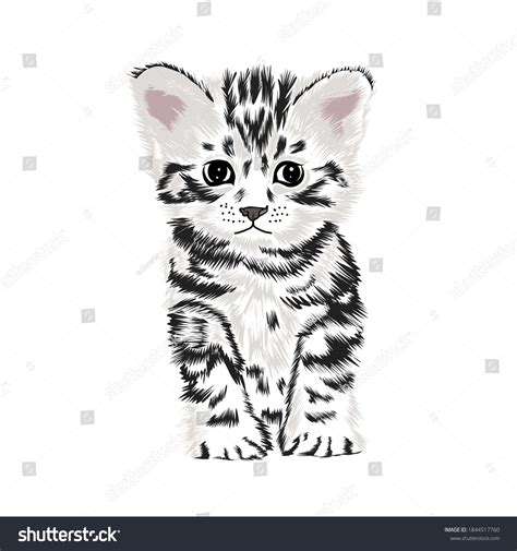 Cat Pen Ink Over 5231 Royalty Free Licensable Stock Illustrations