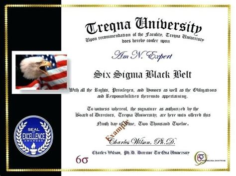 Six Sigma Black Belt Certificate Template Carlynstudio intended for ...