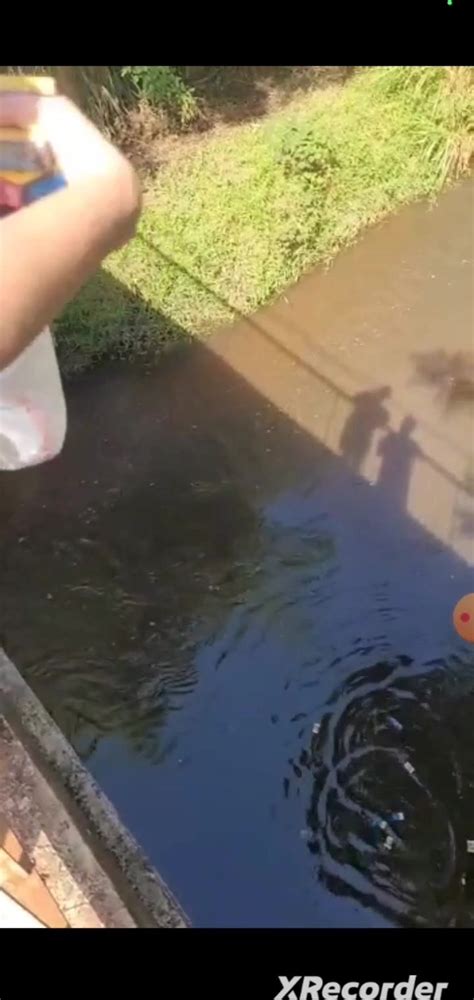 Hot Girl Littering Plastic Inriver ThisVid