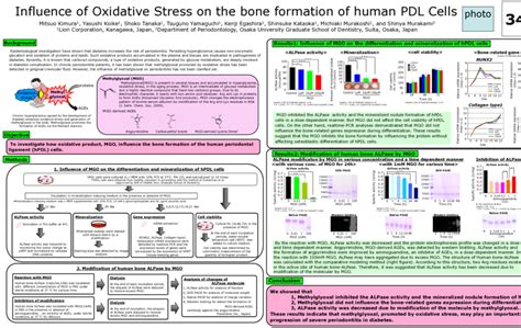 Human Bone Alp Red Acidic Residues Blue Basic Residues Mh Le Du Et