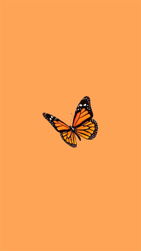 Orange Aesthetic Wallpaper - Wallpaper Sun