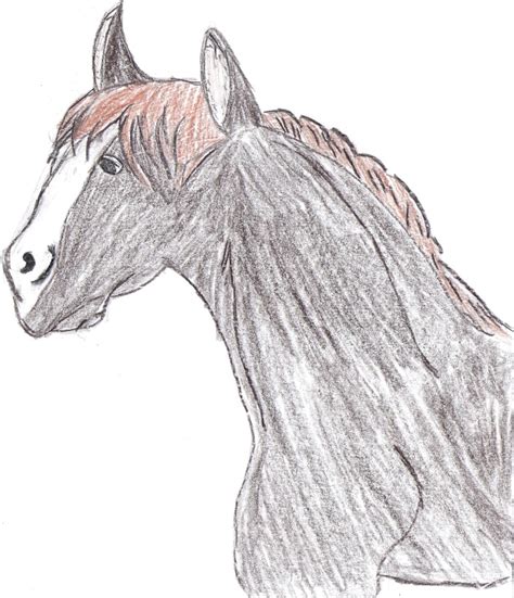 Ugly Horse Drawing